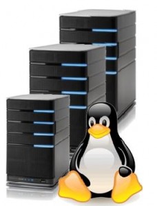ubuntu server 9.10